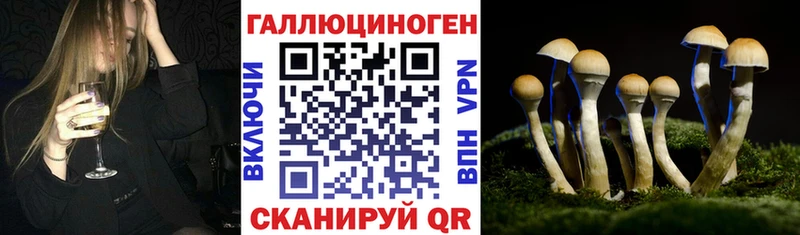 Галлюциногенные грибы Psilocybine cubensis  Пестово 